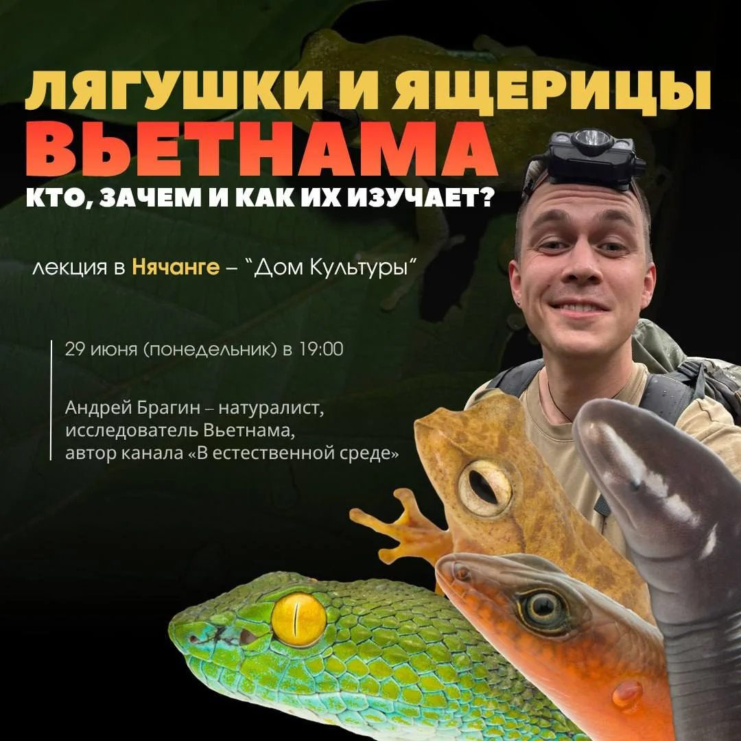 Лекция «Лягушки и ящерицы Вьетнама: кто, зачем и как их изучает?»