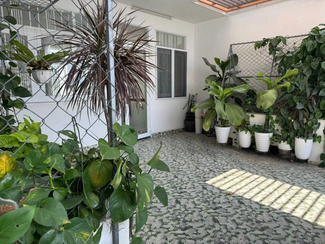 Изображение 8