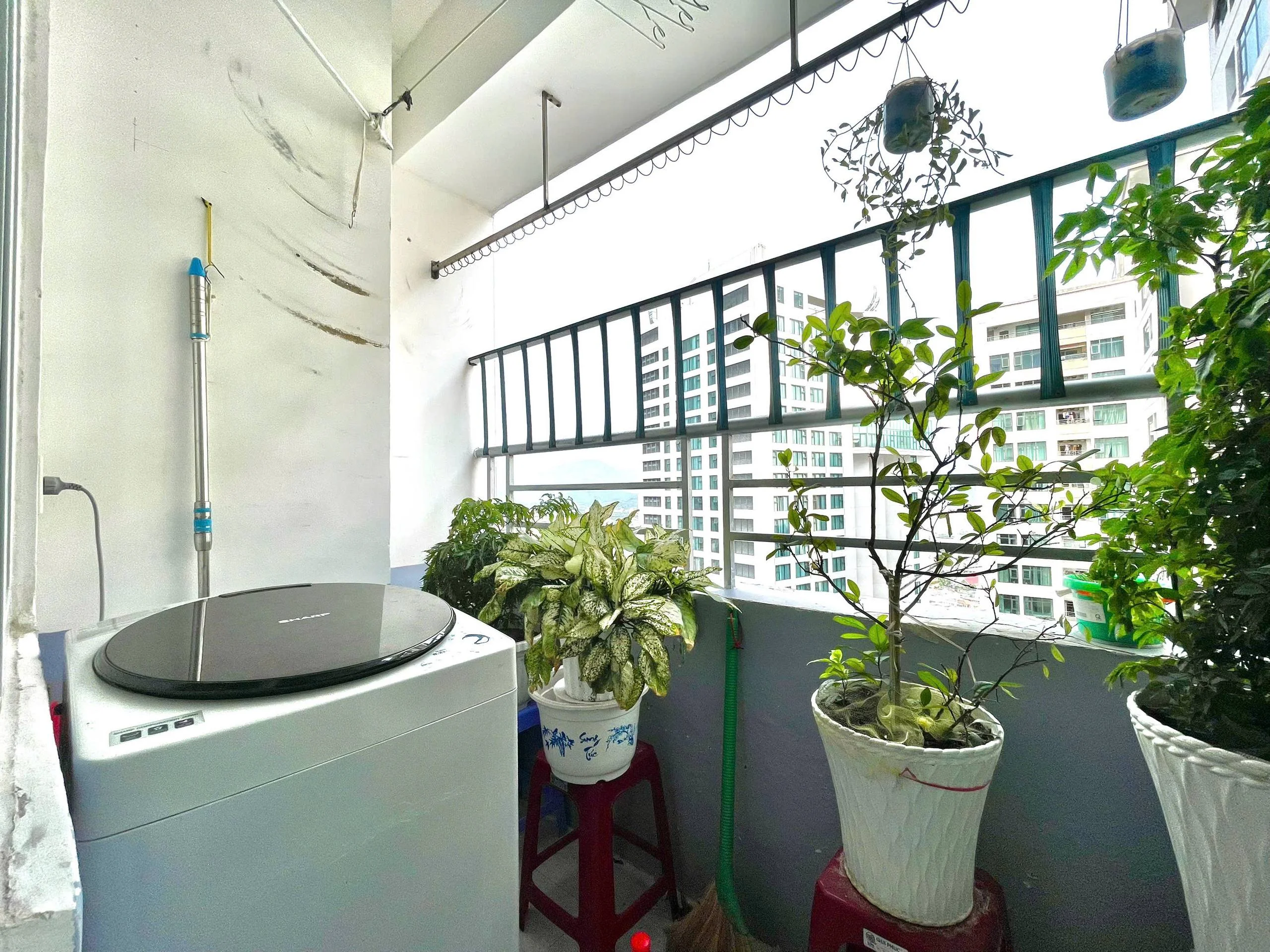 Изображение 8