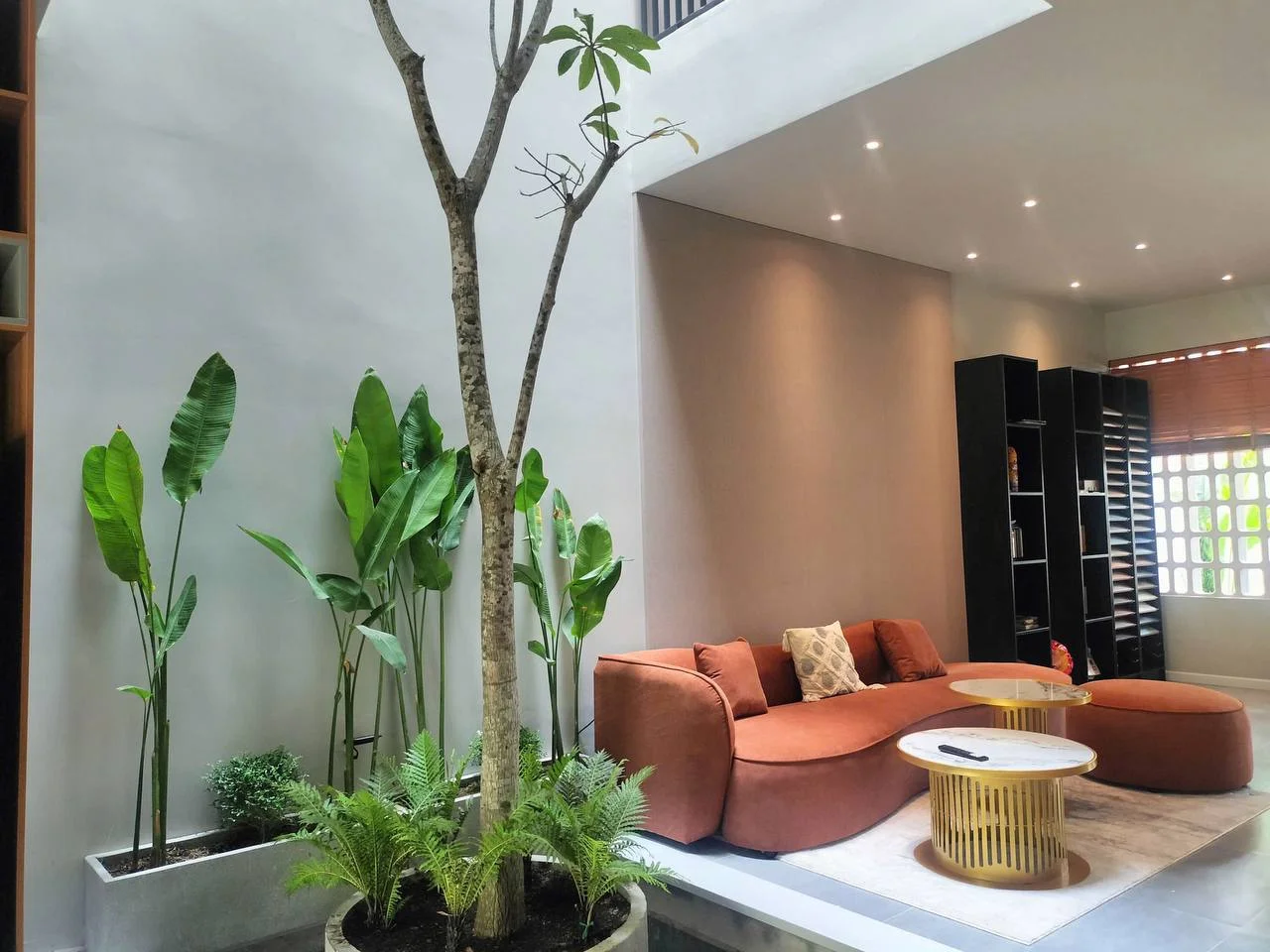 Изображение 8