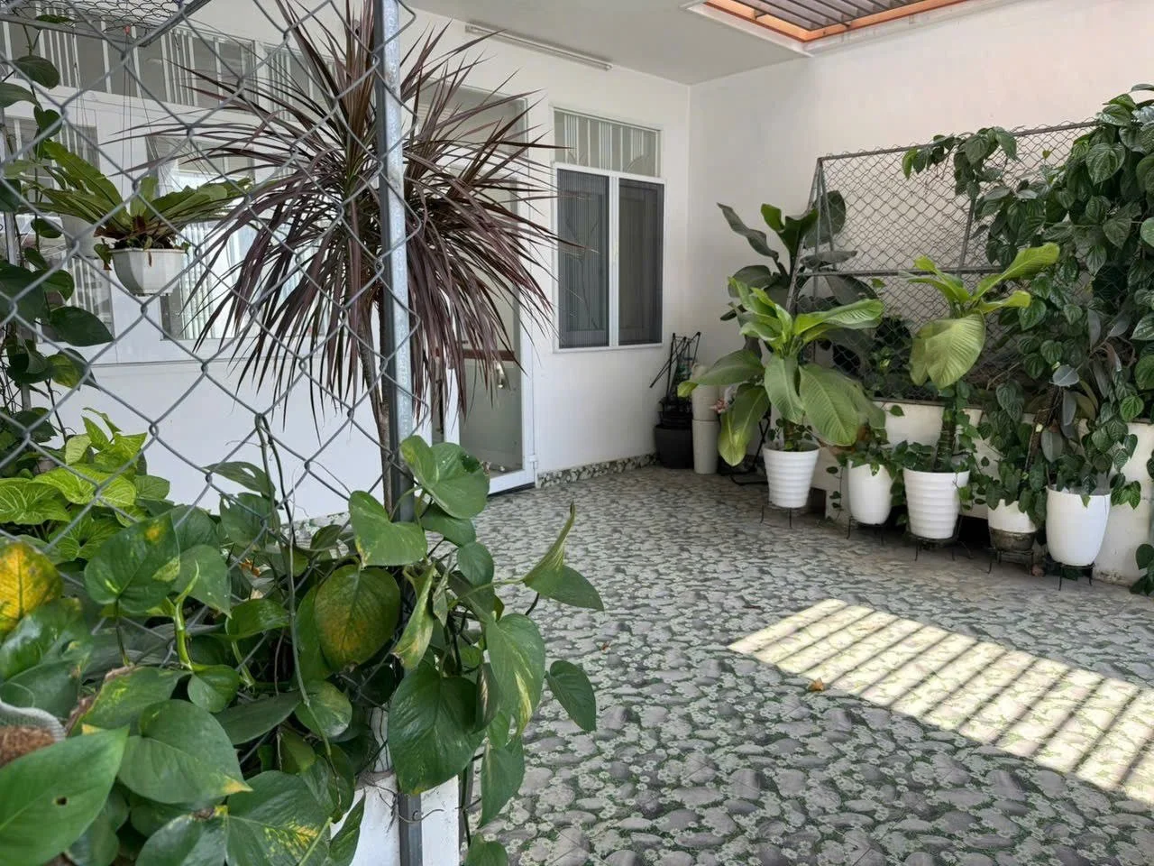 Изображение 8