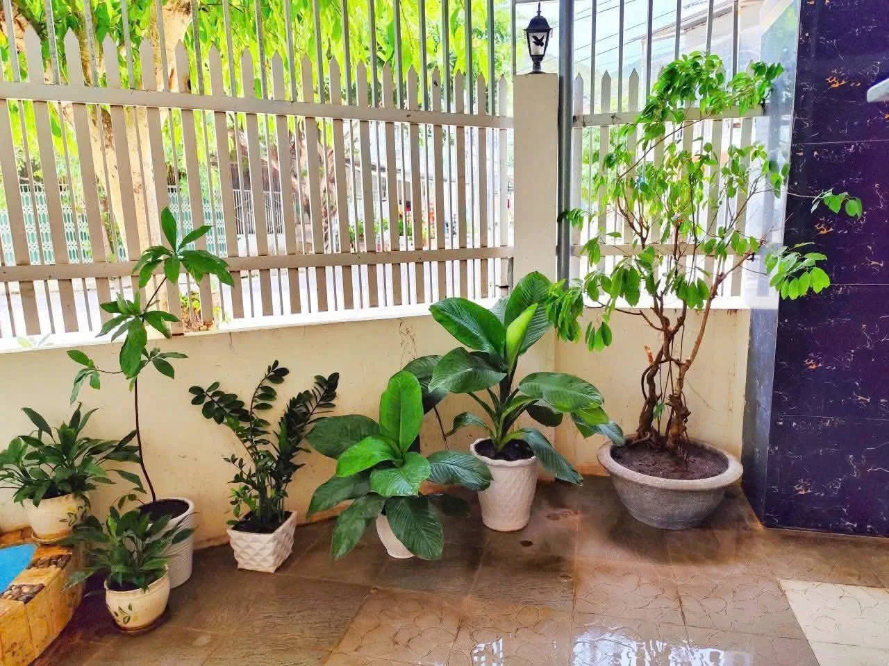 Изображение 7