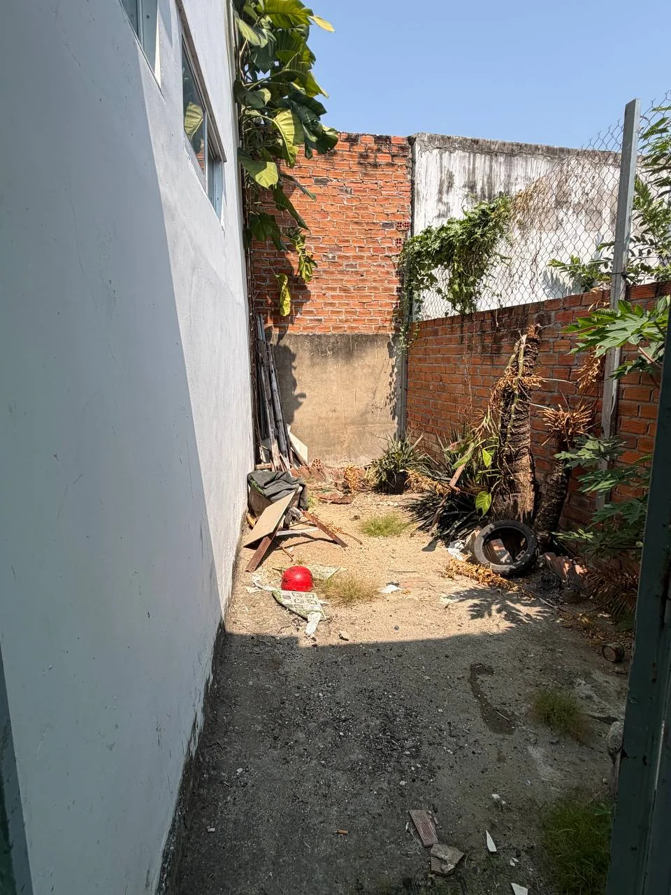 Изображение 10