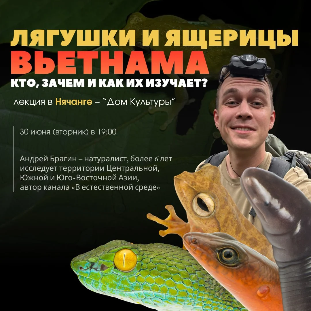 Лекция: «Лягушки и ящерицы Вьетнама: кто, зачем и как их изучает?»