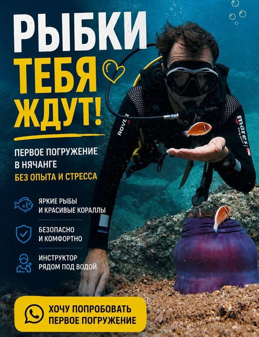 Персональный дайвинг и снорклинг в Нячанге