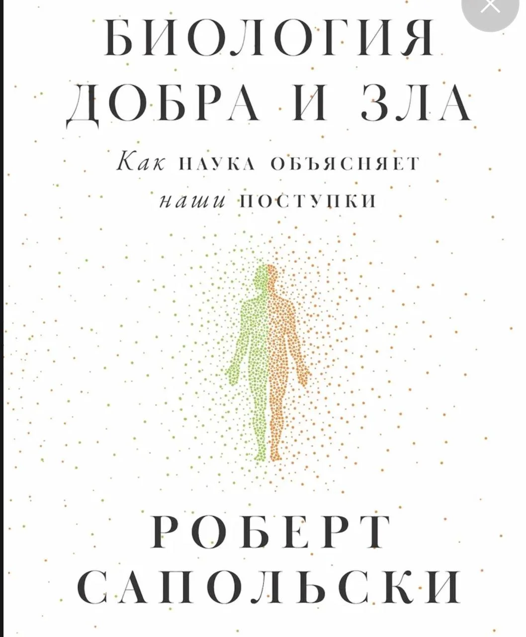 Библиотерапия 📚
