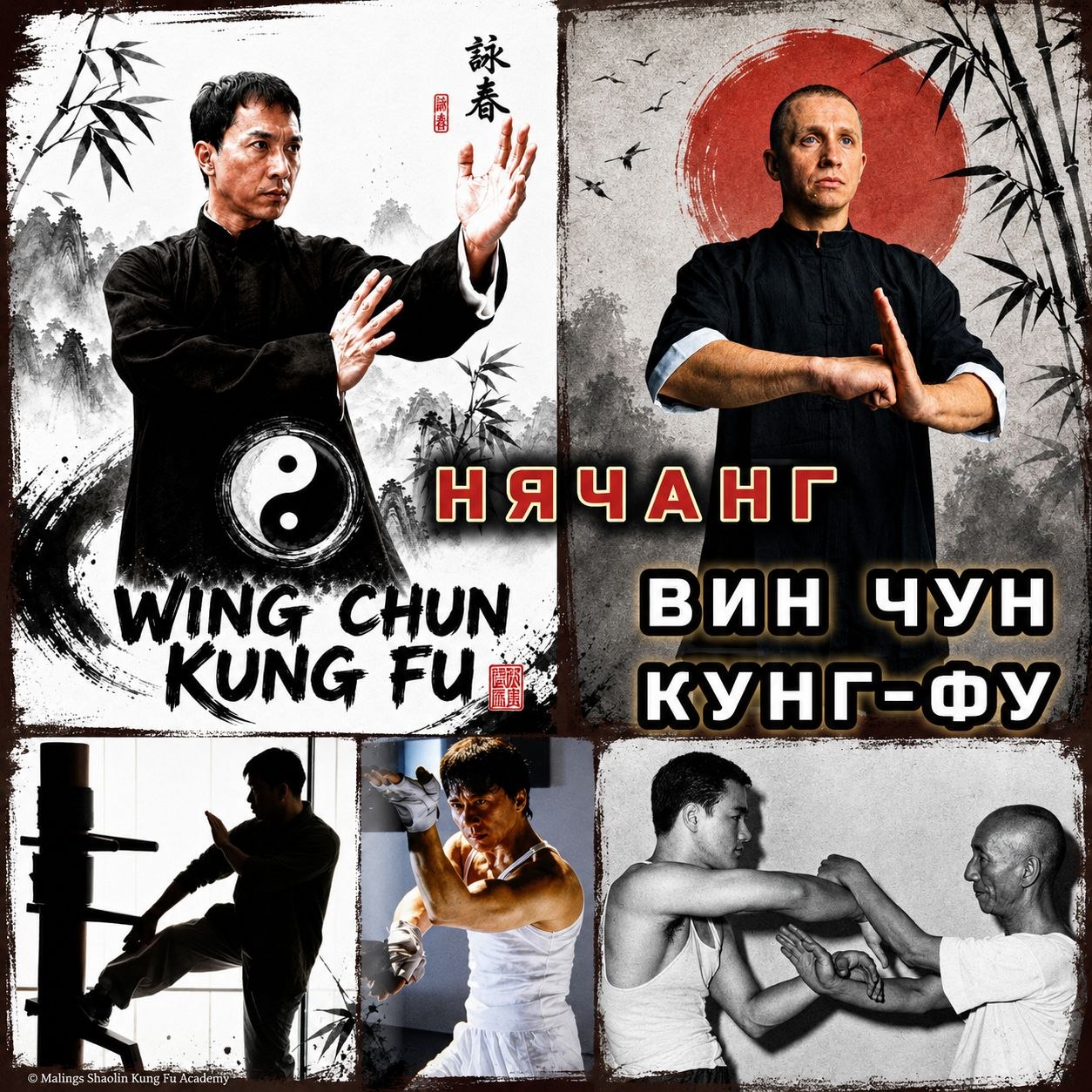 Вин Чун Кунг-фу