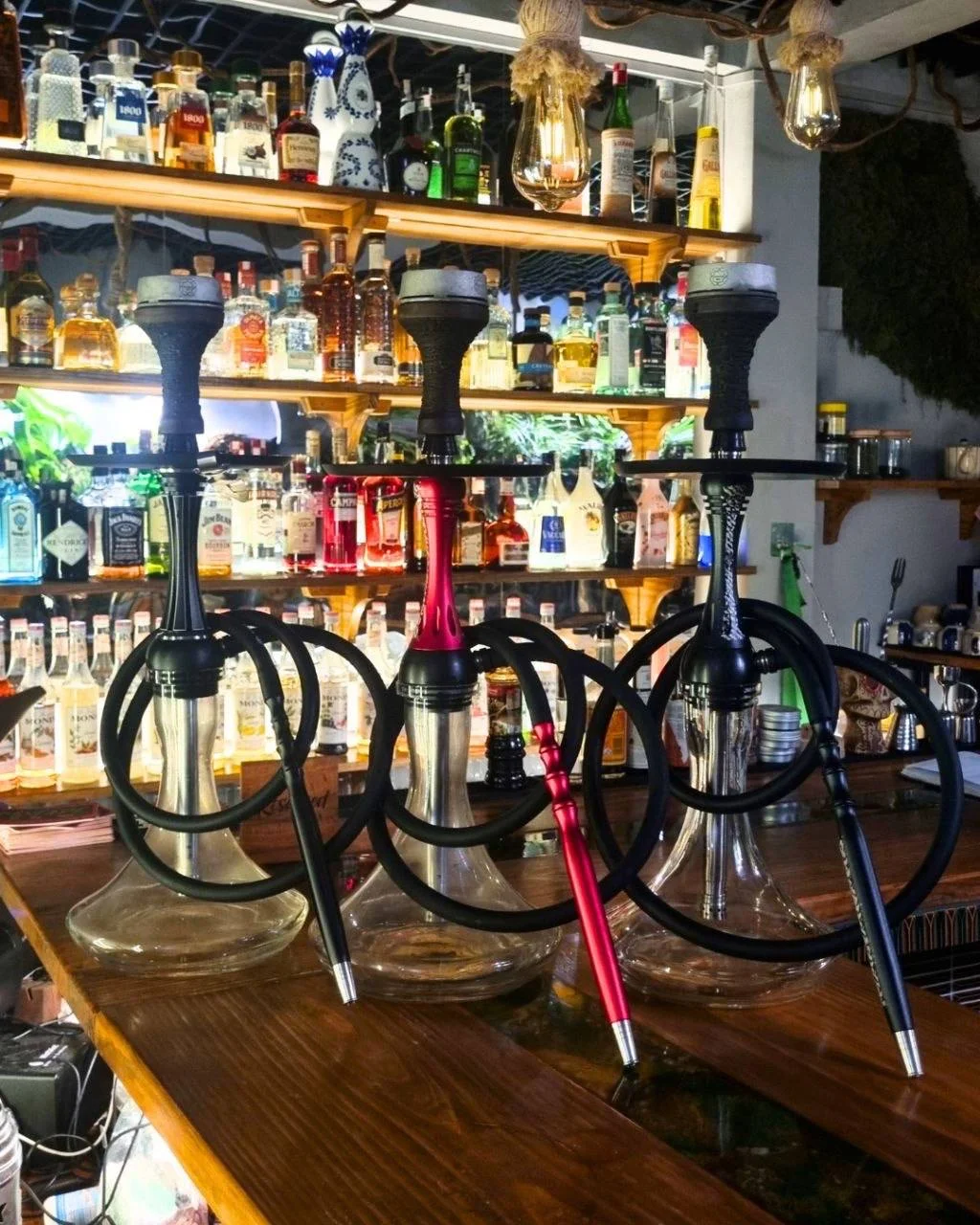 AGAVE | Tequila garden & Restaurant & Lounge 2