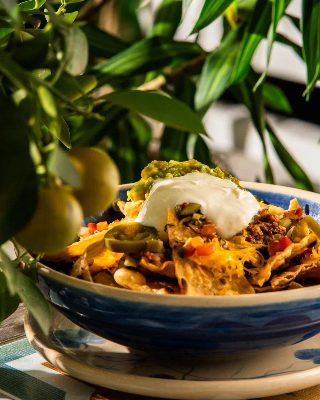 AGAVE | Tequila garden & Restaurant & Lounge 3