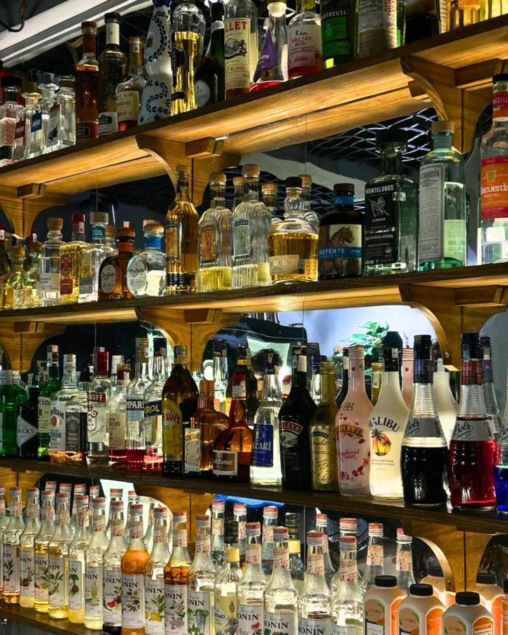 AGAVE | Tequila garden & Restaurant & Lounge 4
