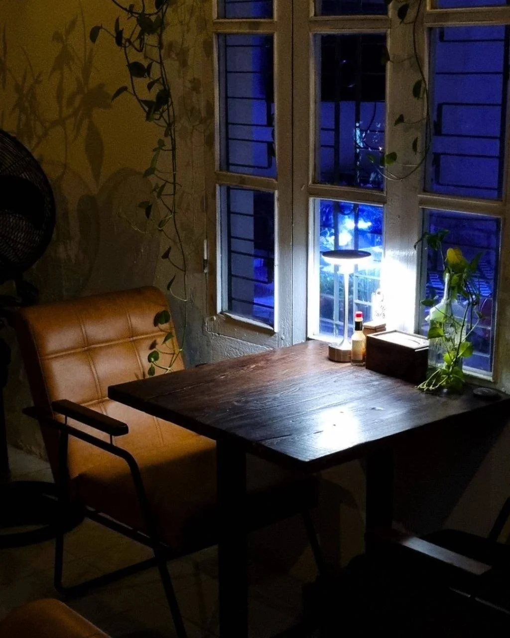 AGAVE | Tequila garden & Restaurant & Lounge 5