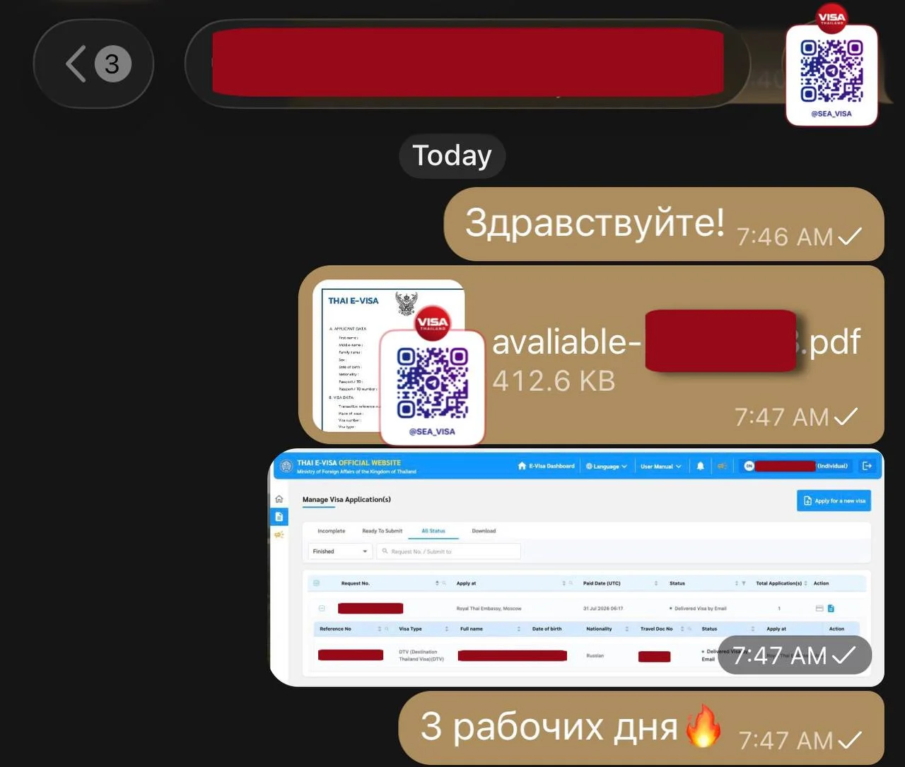 Оформление ДТВ визы