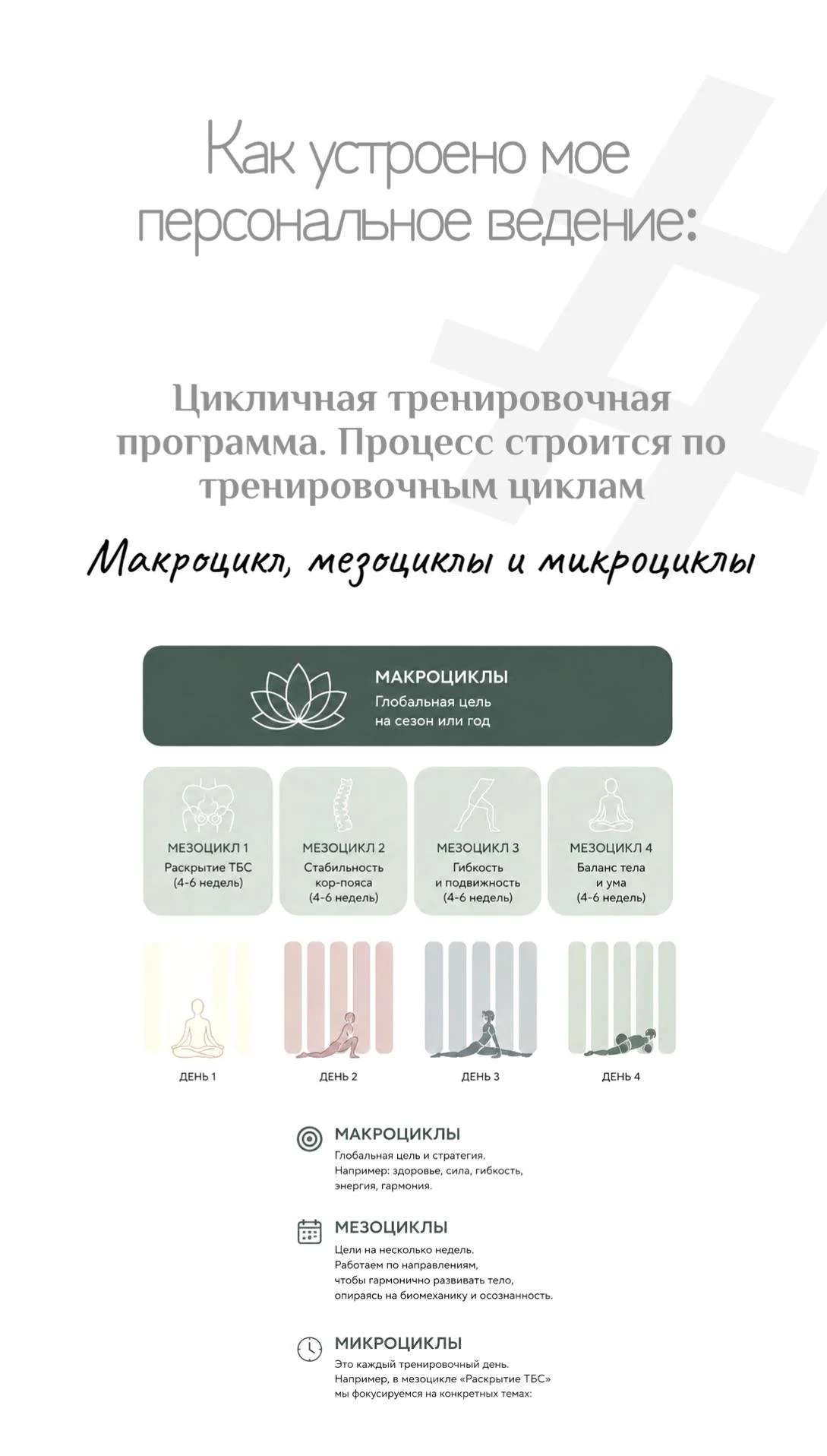 Ана 3