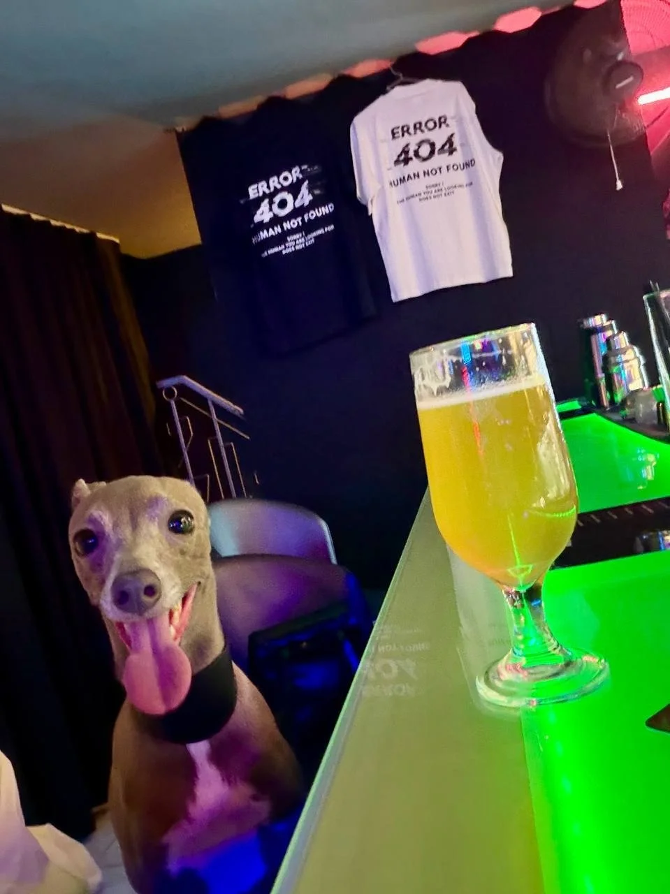 BAR 404 ERROR